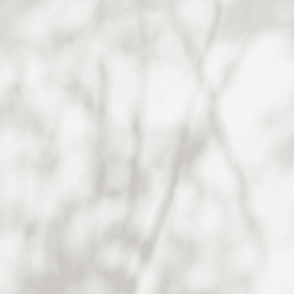 Elegant event table setting